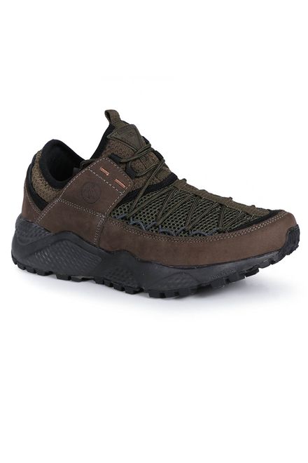 tenis bull terrier adventure