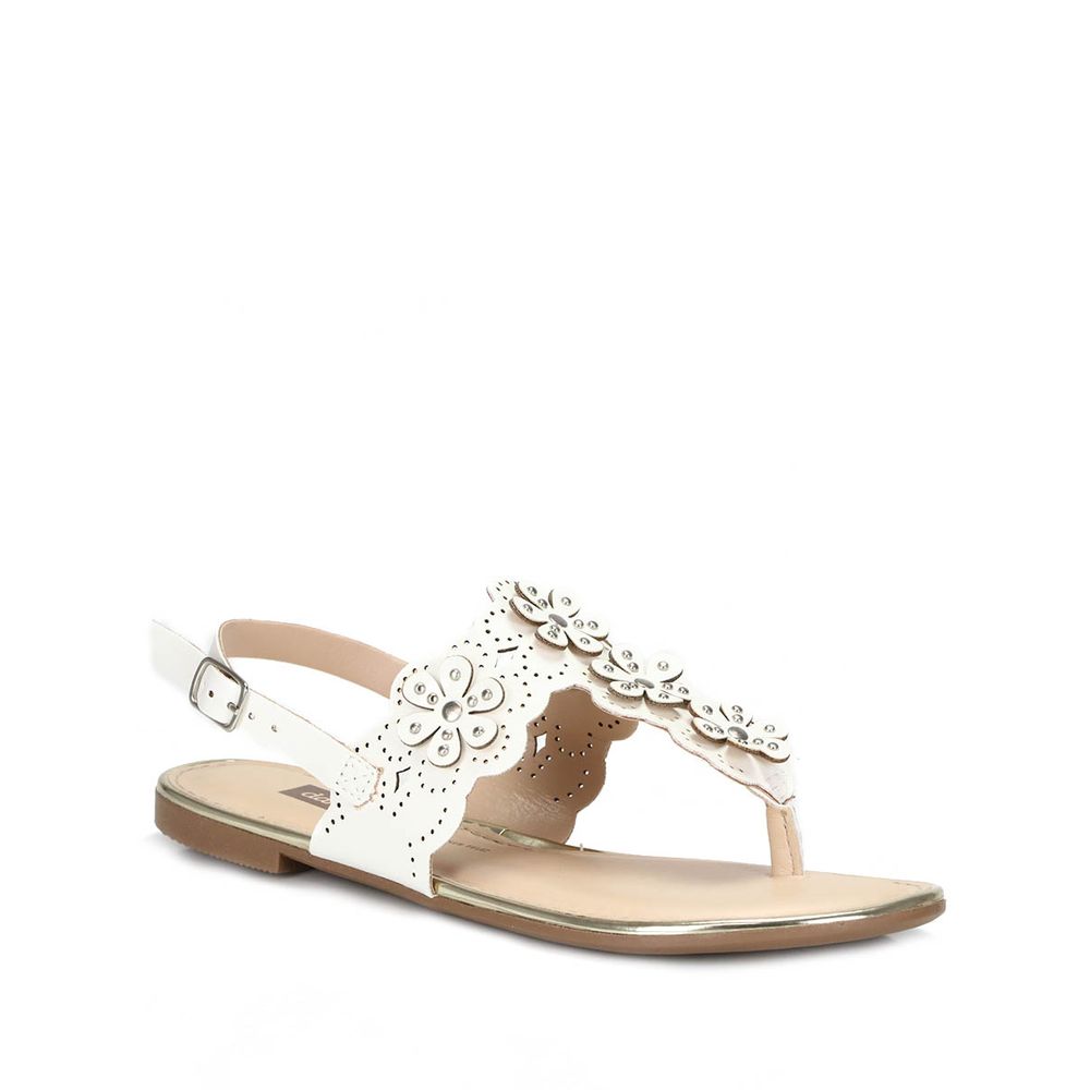 sandalia rasteira dakota passarela