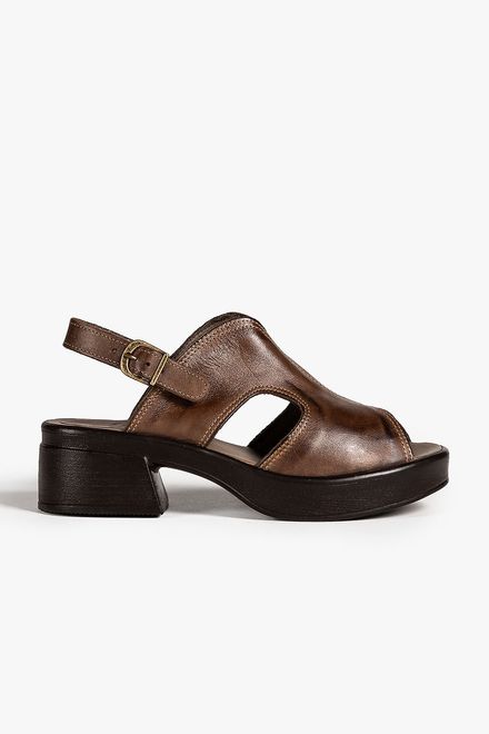 image-19bfc4d7c2fd4eeda2c71a5374f14a23