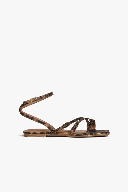 image-6cf3cd5fe8fe4d838a9d3991768e9aa2