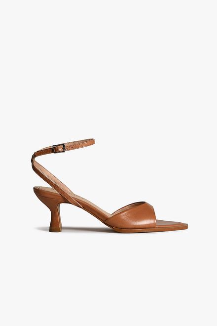 image-1d68543e5b17449cad07fa1061f221b0