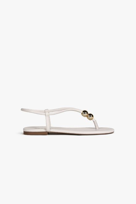 image-173418a8279c471e87c3dd1e239b6a83