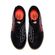 image-61bd66ae965846ebace0f7550e9f17d1