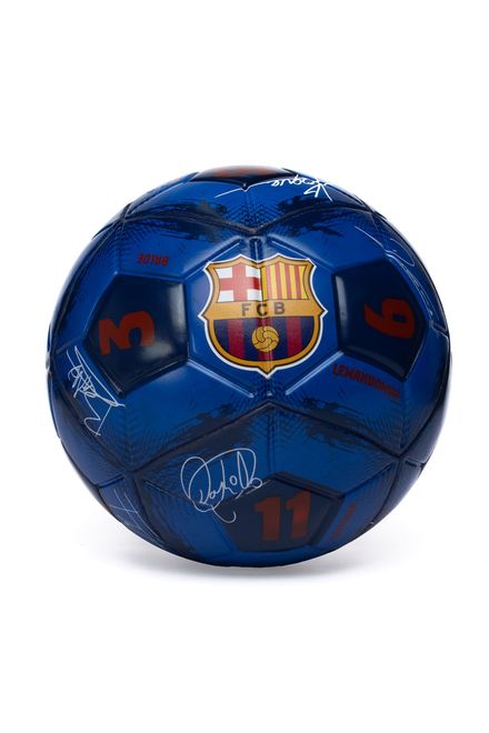 image-4fdb1a8614954896b571a812619bf406