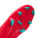 image-75ca11339ca644c486e43411f55eb5e0