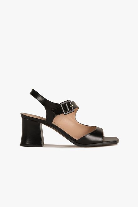 image-a956aad7e26a46ccac5d5b03f7d82d41