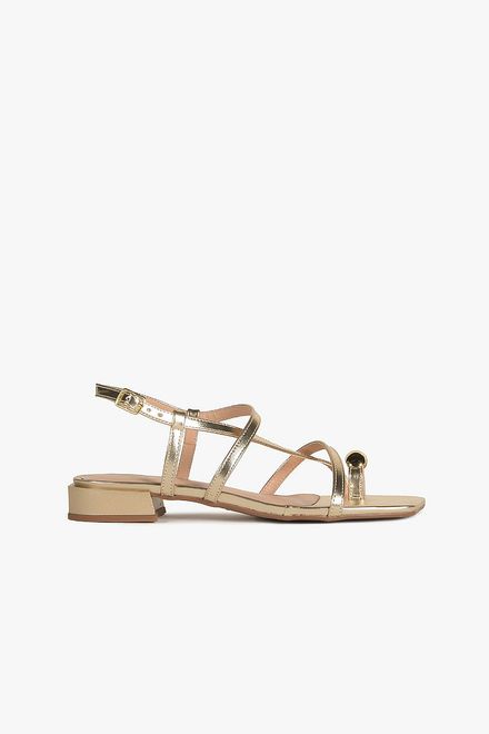 image-aa157fe60ebd405fbe8d4ec714727ad0